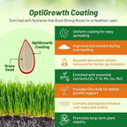 Outsidepride Sheeps Fine Fescue Grass Seed - 5 Lbs. Perennial Heat & Drought Tolerant Dense Green, Traffic-Resistant Turf for Shaded Environments w/OptiGrowth Coating for Seed Enhancement