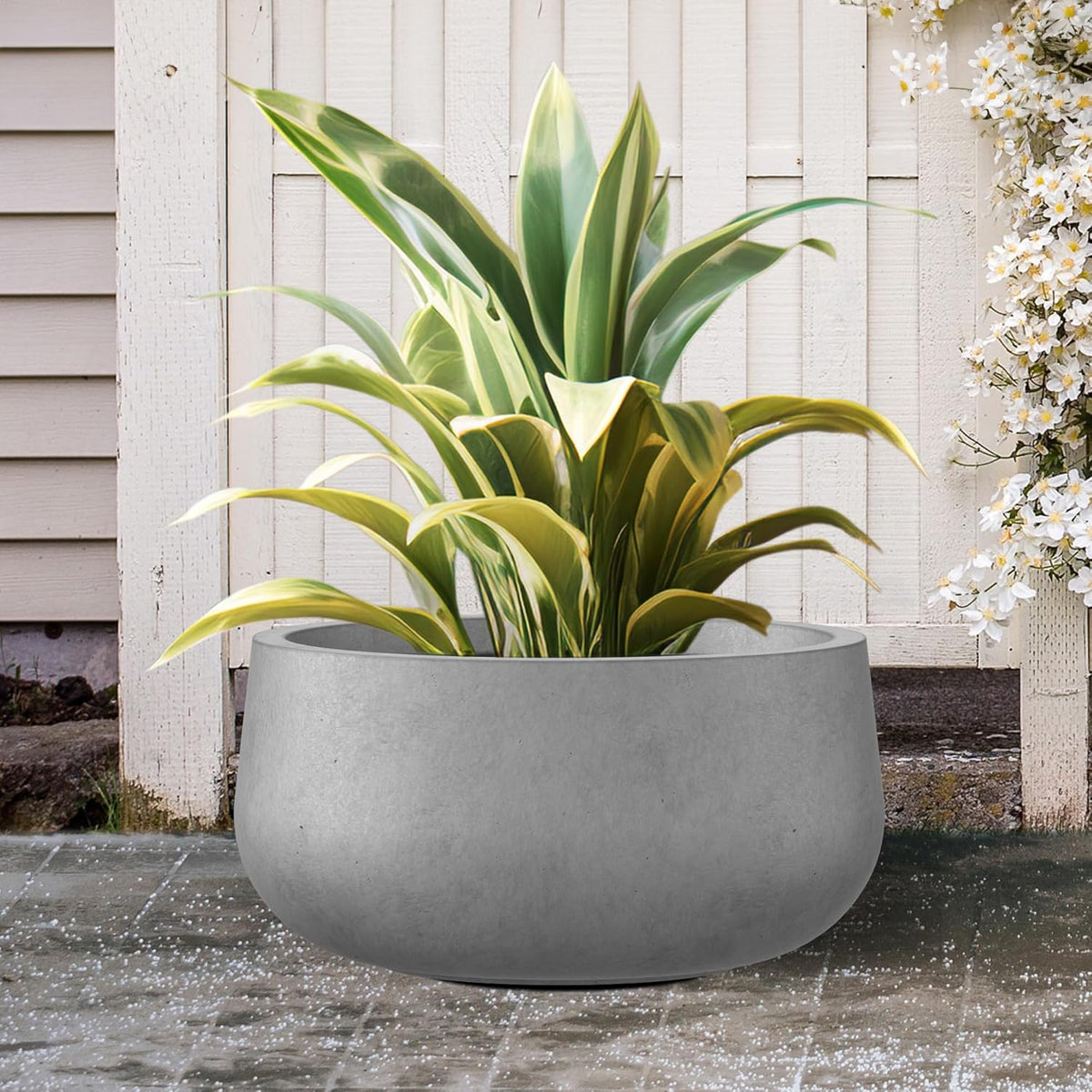 Kante 19.6" Dia Round Concrete Planter, Cement Plant Pots with Drainage Hole and Rubber Plug for Outdoor Indoor Garden Home, Modern Curvaceous Design, Natural Concrete