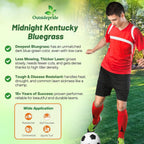 Outsidepride Midnight Kentucky Bluegrass Seed - 25 Lbs. Cold & Drought Tolerant, Sun-Loving Lawn Grass Seed, w/High Traffic Tolerance & Deep Root System, OptiGrowth Coated for Better Establishment