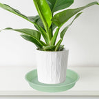 2 Pack of Bird Bath Bowl 12", 1.6" Depth, 10 12 inch Birdbath Bowls Dish Only for The Garden, Large Plant Saucer (12", Light Green)