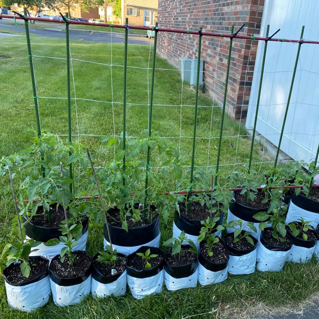 Garden Plant Stakes 48 Inch 4Ft Steel Plant Stick Support, 25 Pack Tomato Stakes for Growing Climbing Plants, Potted Plants, Tomatoes, Trees, Cucumber, Beans, Fences Poles