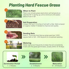 Outsidepride Hard Fine Fescue Grass Seed - 50 lbs. Low-Growing, Drought & Shade-Tolerant, OptiGrowth Coated Seed for Lawn & Turf, Ideal for Low-Maintenance, Dense, & Resilient Green Ground Cover