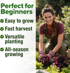 HOME GROWN Lettuce Seeds for Planting - 8 Varieties Non-GMO Heirloom Salad Greens Seeds - 9000+ USA-Sourced Vegetable Seeds for Planting Outdoors, Indoors, Hydroponic Garden
