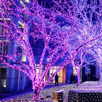 JMEXSUSS 163 FT 500 LED Purple Christmas Lights, 8 Modes String Light Indoor Outdoor Waterproof, Remote Control Purple Lights Plug-in for Roof Bedroom Party Christmas Tree Decorations