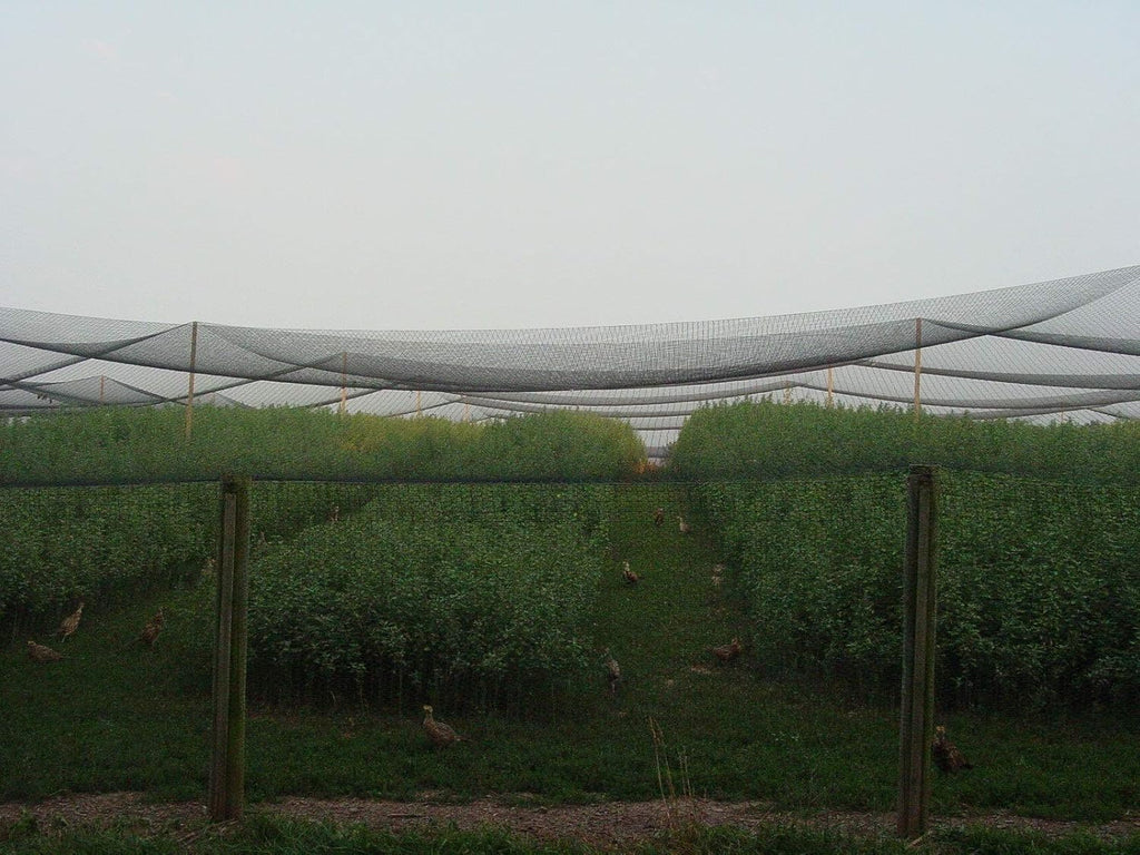 Excursions Aviary Netting 1" Heavy Knotted Poultry Net (50' x 50')
