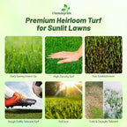 Outsidepride Full House Bermuda Grass Seed Mix - 2 lbs. Premium Warm Season Turf Blend of Traffic & Drought-Tolerant Monaco & Hollywood Bermuda Grass Seeds for Lawn, Golf Courses & Fairways