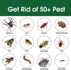 Insect & Pest Control Spray – Natural Essential - Bug Killer & Insect Repellent, Kills Ant, Spiders, Carpet Beetles, Roaches, Flies- Safe for Pets & Family, Indoor & Outdoor Use 16OZ