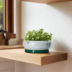 Succulent Pots - 6 Inch Ceramic Pots for Succulent Indoor Outdoor, Small Plant Pot with Drainage Hole and Saucer, Bonsai Pot, Modern Round Planter, Window Decor, Housewarming Gifts, Green