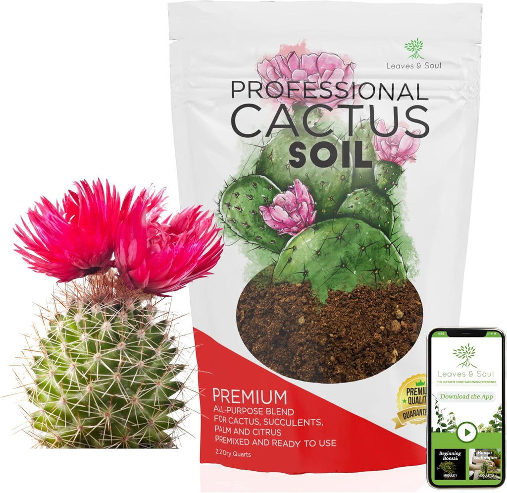 Professional Cactus Soil | Large 2.2 Quarts Ready to Use for Cactus Plants | Peat Moss, Coco Coir, Perlite, Dolomite | Made in USA