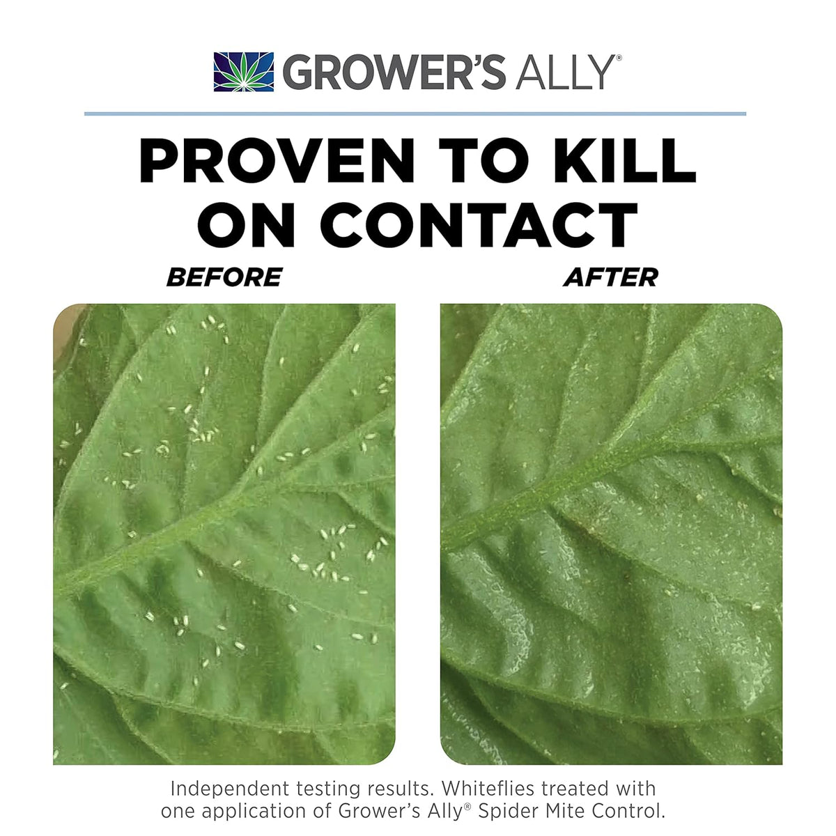 Grower's Ally Spider Mite Control | 8 oz Concentrate, Makes 25 Gallons | Insecticide and Miticide for Plants | OMRI Listed