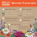 Rocky Mountain Wildflower Seeds Mix - 4 oz Seed Pouch - 22 Wild Flower Seed Varieties - Annuals, Perennials and Bi-Annuals - Flower Garden