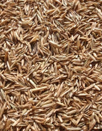 Annual Ryegrass Seeds for Planting - Premium Quality Rye Grass (22 Pounds)