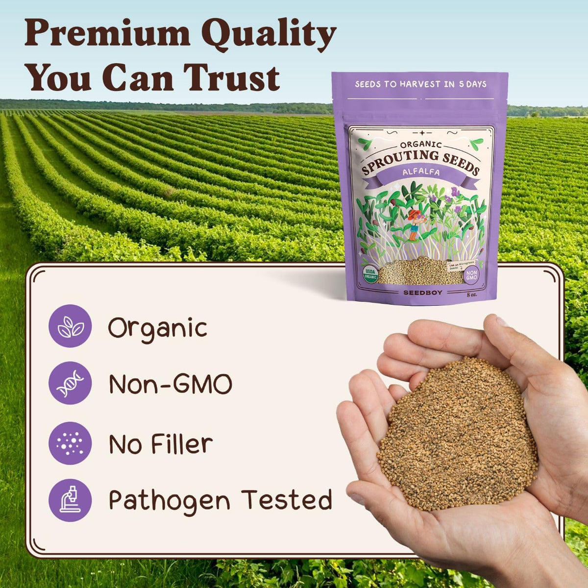 Seedboy Organic Non-GMO Alfalfa Seeds for Sprouting - Microgreens Sprouting Seeds - 8 oz Bag Makes 8 Quarts / 24 Servings (Alfalfa)