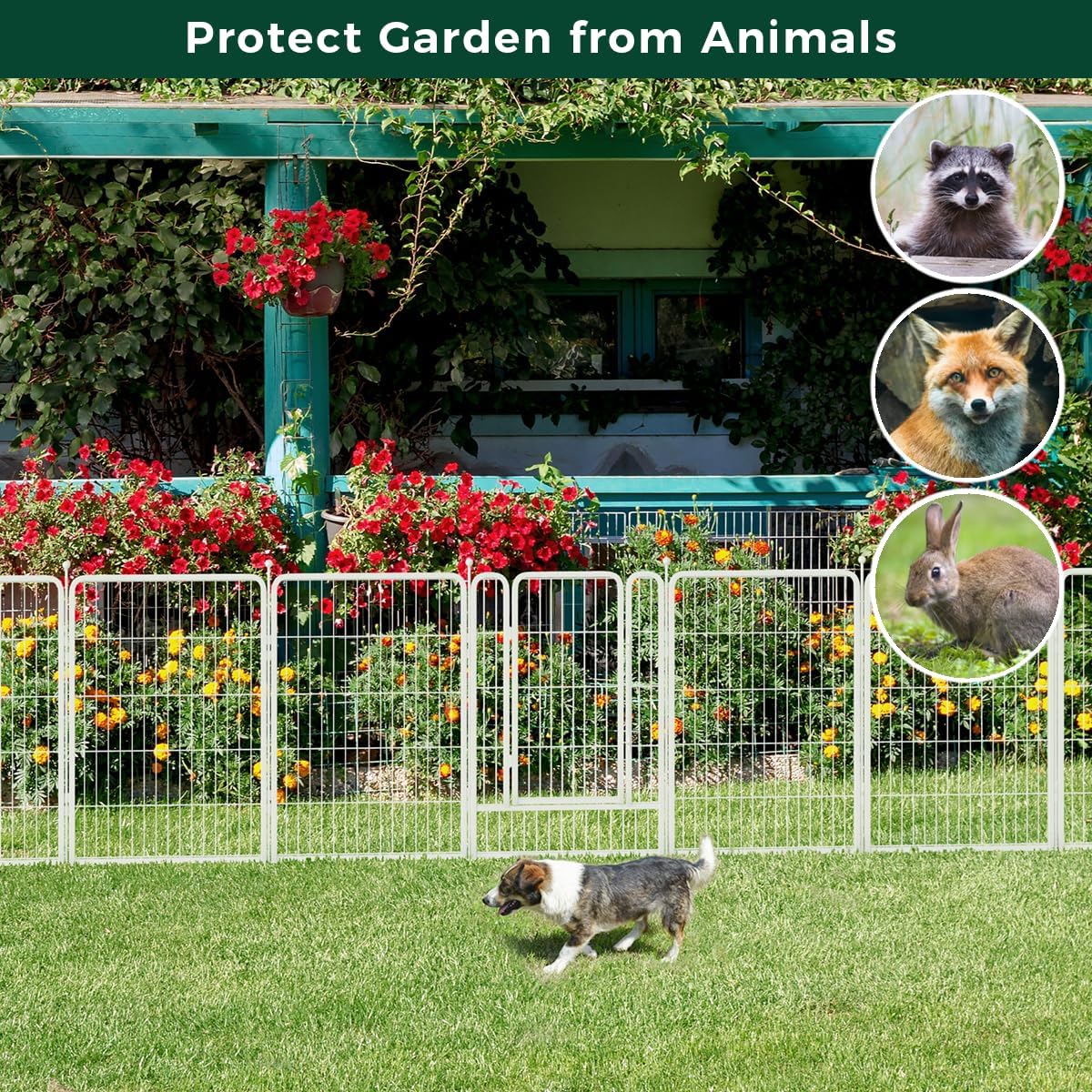 FXW Garden Fence Outdoor for The Yard – 40in(H) x 36.4ft(L) Heavy Duty Metal Animal Barrier for Dog and Rabbit, Decorative Dog Fence, 16 Panels, White