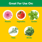 Miracle-Gro Water Soluble All Purpose Plant Food and Garden Feeder Bundle