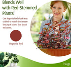 Stackable Plant Support Stakes, Stem Holder Structures for Indoor & Outdoor Use, Garden Accessories for Climbing & Potted Plants, Trellis Alternative - Begonia Red, 10 Pack, 17" L