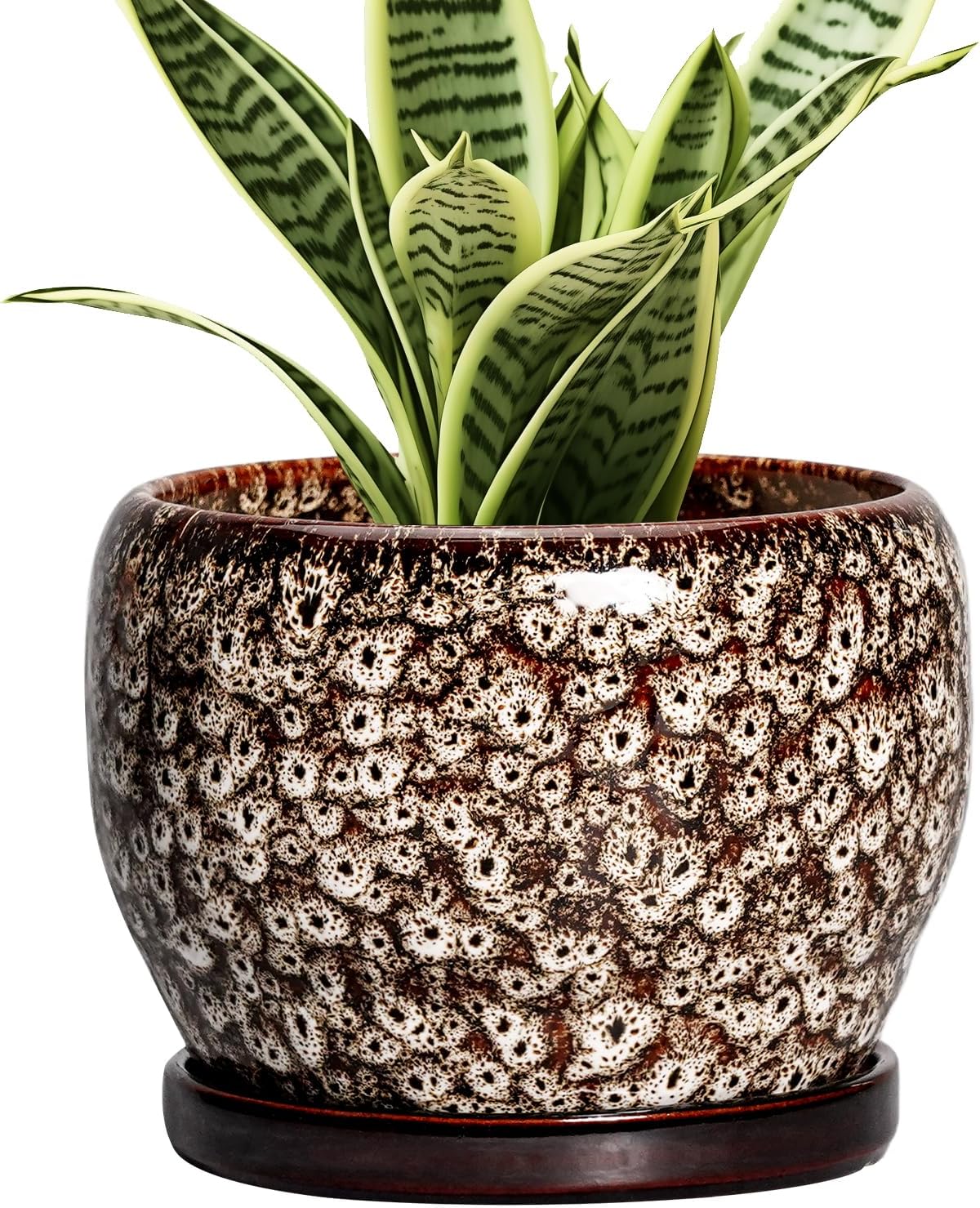 SQOWL Ceramic Plant Pots - 6 Inch Ceramic Planter for Indoor Outdoor, Small Flower Pots with Drainage Hole and Saucer, Decorative Round Planter, Home Office Decor, Plant Lover Gifts, White