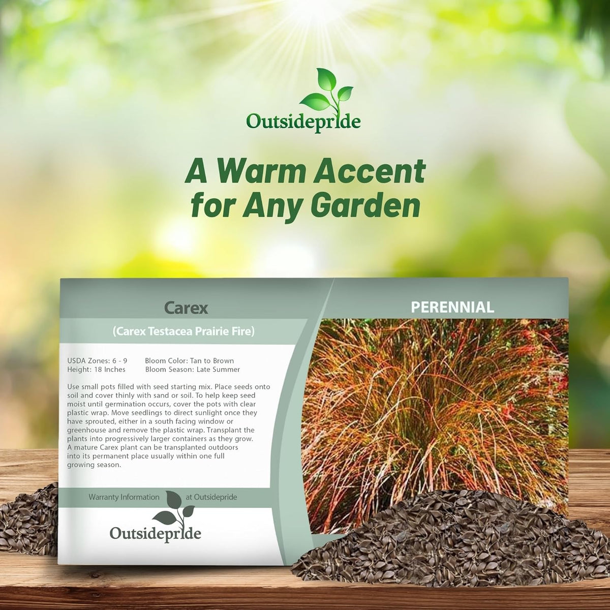 Outsidepride Carex Prairie Fire Ornamental Grass Seed – 200 Pcs. Perennial, Low-Maintenance, Drought-Tolerant Grass Seeds with Low Growing Foliage for Borders, Ground Covers, & Outdoor Living Spaces