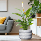 SQOWL Ceramic Plant Pots - 13.5 Inch Ceramic Planter with Drainage Hole, Large Round Planter for Indoor Plants, Modern Flower Pots Outdoor, Office Living Room Decor, Birthday Gifts, Black and White