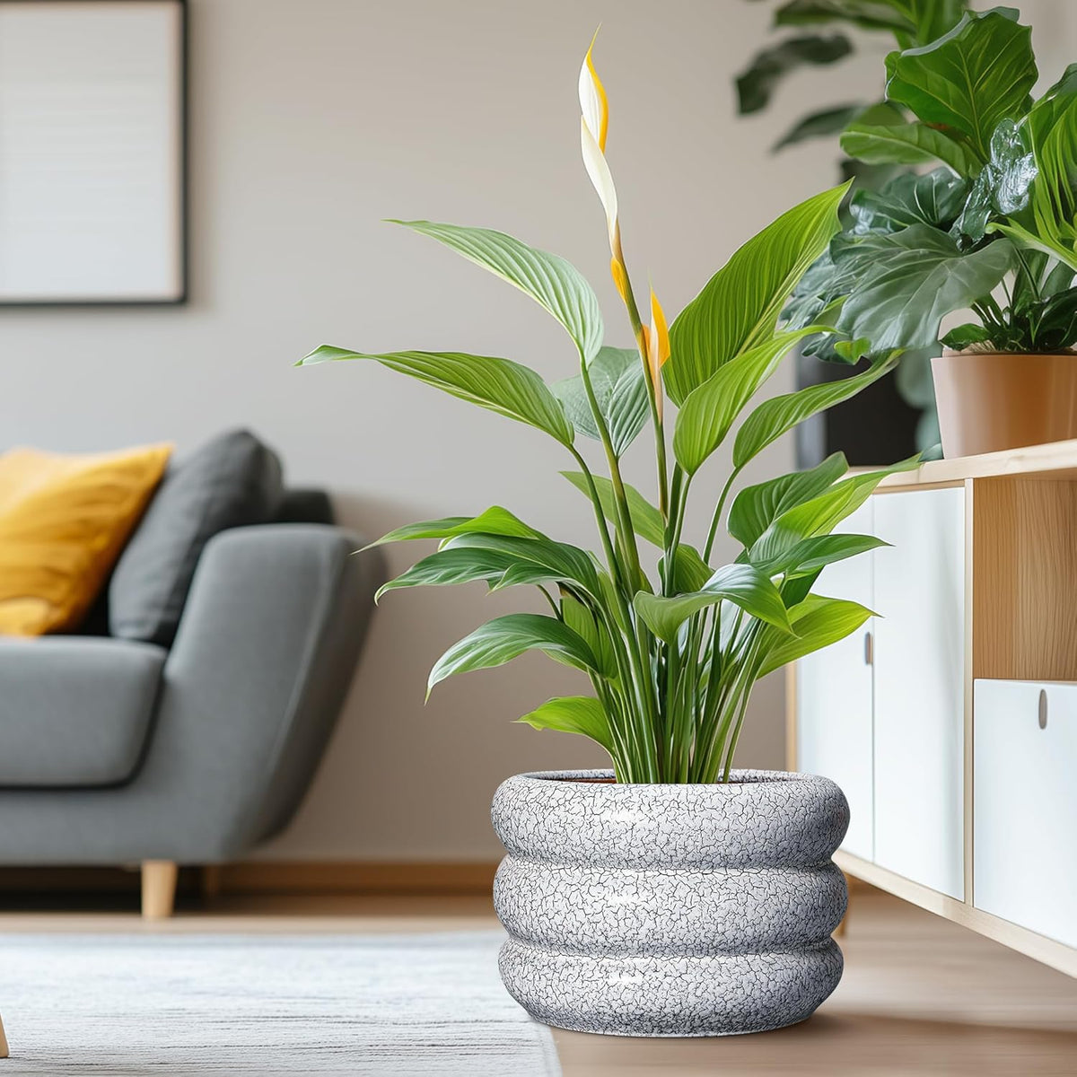 SQOWL Ceramic Plant Pots - 13.5 Inch Ceramic Planter with Drainage Hole, Large Round Planter for Indoor Plants, Modern Flower Pots Outdoor, Office Living Room Decor, Birthday Gifts, Black and White