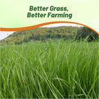 Outsidepride Ryegrass Seeds - 50 lb. Annual, Hardy & Fast-Growing, Cover Crop Seeds for Planting Glossy Dark Green Grass Leaves, Ideal for Hay Foraging, Pasture Grazing & Erosion Control