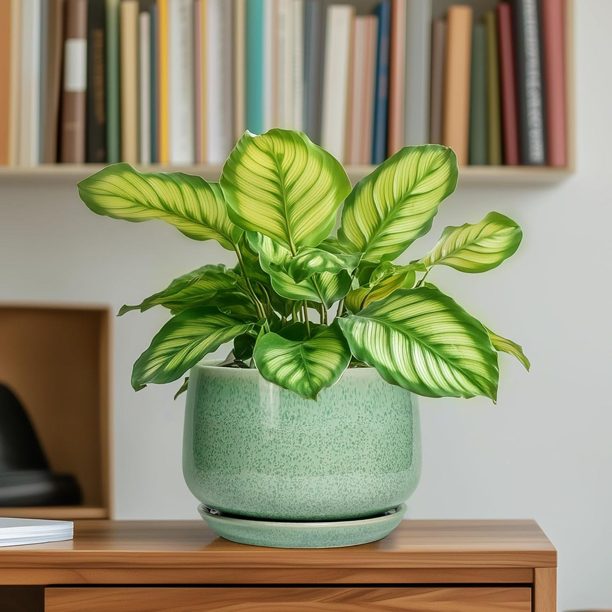 G EPGardening Ceramic Pots for Plants - 6 Inch Plant Pot with Drainage Hole and Saucer, Modern Ceramic Planter for Indoor Outdoor, Round Flower Planter, Gifts for Plants Lovers, Home Decor, Green