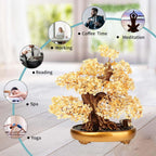 Natural Tree of Life (1,251 Gemone unt) Cryal Tree with Healing Properties - Bonsai Feng Shui Money Tree for Healing and Luck (Citrine),One Size