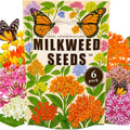 Mix Milkweed Seeds for Monarch Butterflies - 6 Individual Varieties Perennial Wildflower (120 Seeds per Pack) Colorful Pollinator Garden, Easy to Grow for Backyard & More (Mix Milkweed Seeds)