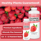 Strawberry Fertilizer for Fruit and Berry Gardens, Liquid Plant Food 8 oz (250mL)