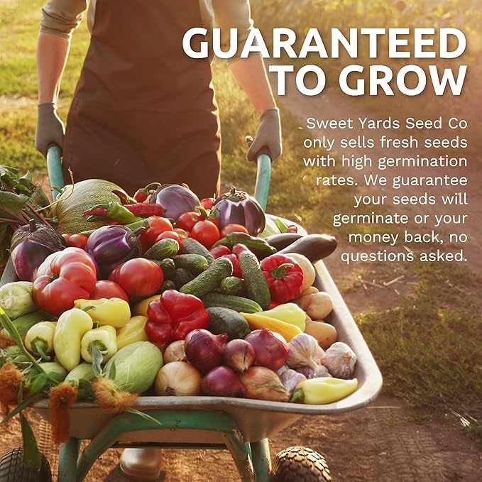 Organic Lettuce & Greens Seeds Variety Pack - 5 Individual Packs - 2026 Season - Buttercrunch, Gourmet Mix, Romaine, Tom Thumb & Iceberg. for Indoor & Outdoor Planting (Non-GMO, Certified Organic)