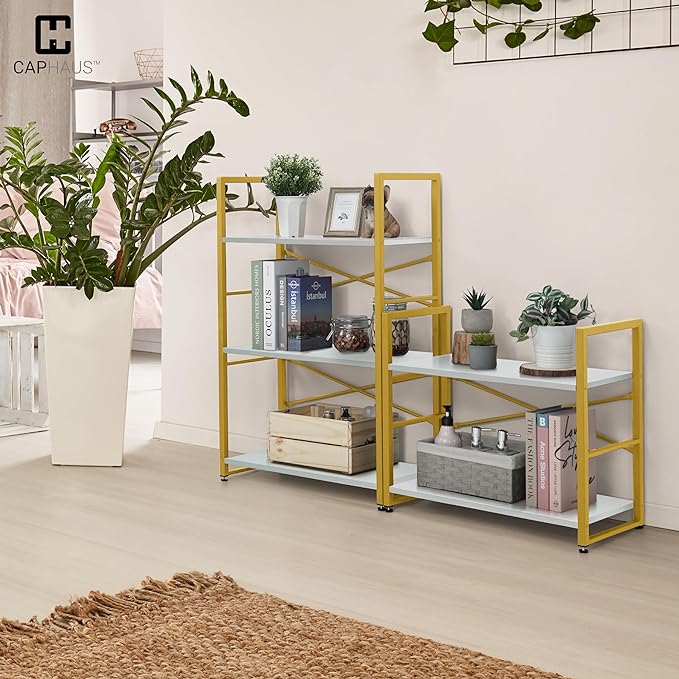 CAPHAUS 2 Tier Small Bookshelf, 24 Inch Width Free Standing Shelf, Bookcase Shelf Storage Organizer, Industrial Book Shelves for Home Office, Living Room, White Wooden Shelves & Gold Frame
