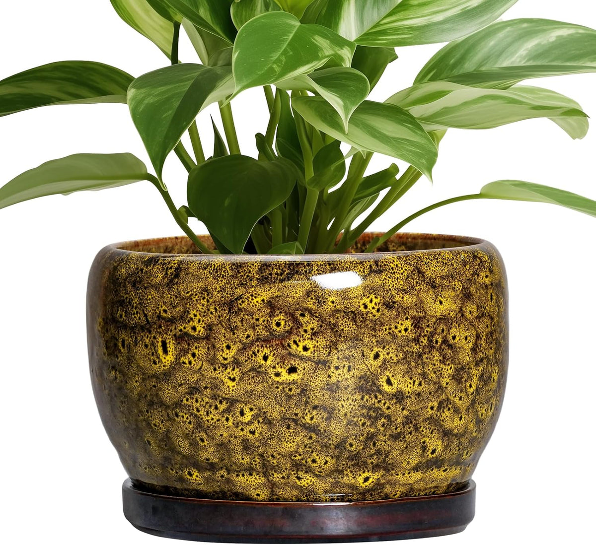 SQOWL Ceramic Flower Pots - 8 inch Ceramic Planter for Indoor Plants, Decorative Plant Pots with Drainage Hole and Saucer, Round Planter Outdoor, Porch Backyard Decor, Housewarming Gifts, Yellow