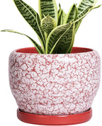 SQOWL 6 Inch Plant Pot - Ceramic Planter for Indoor Outdoor, Round Decorative Plant Pot with Drainage Hole and Saucer, Small Flower Planter, Home Balcony Decor, Gifts for Women Men, Red and White