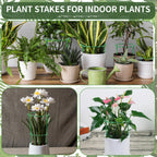 Moiggonoy 12 Pack Plant Support Stakes Sets - Versatile Plant Cages, Stackable Garden Flower Support， Small Plant Stakes for Indoor Plants,Tomato,Monstera, Peony, Hydrangea, Climbing Plants