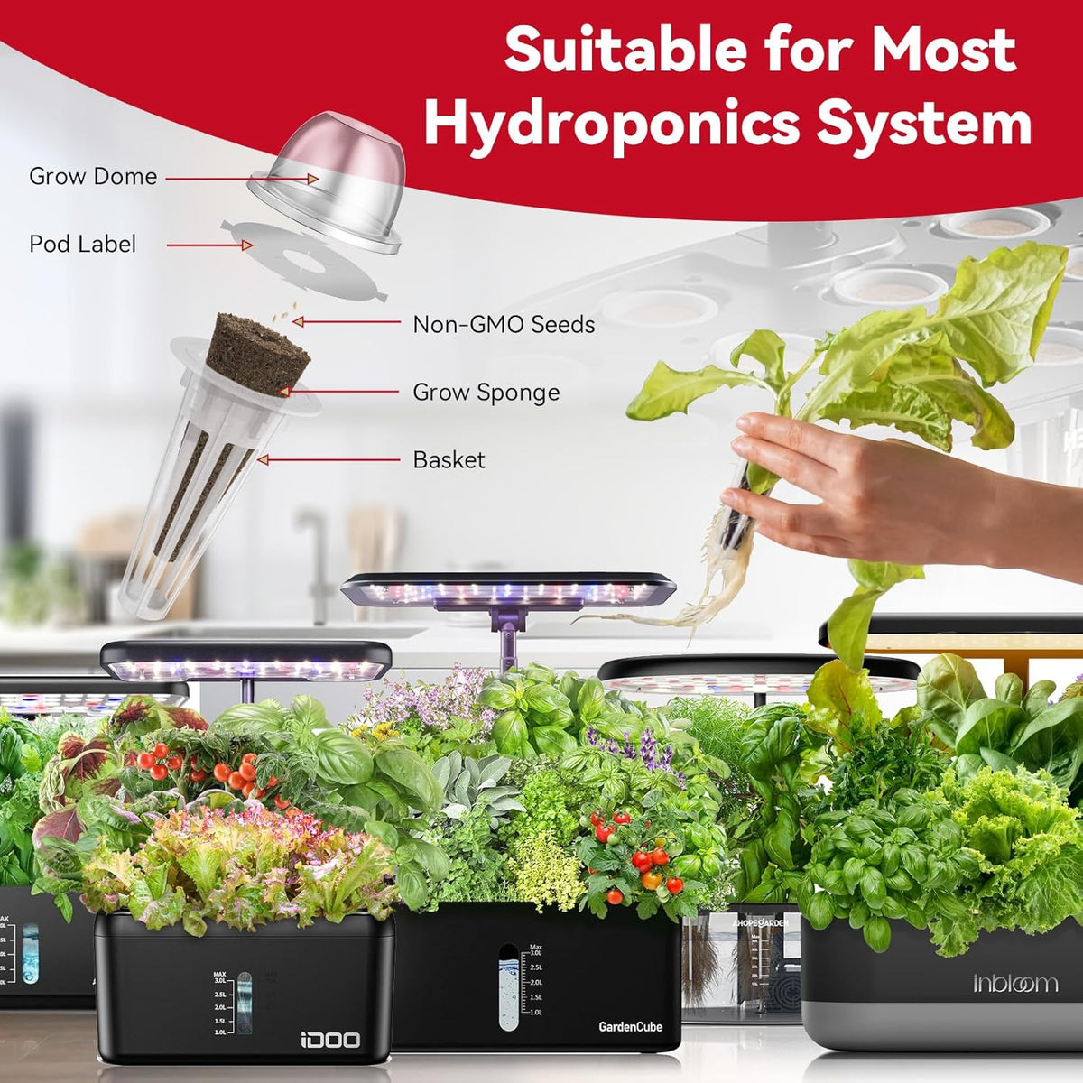 inbloom Fruit Seed Pod Kit for AeroGarden, Ahopegarden Hydroponics Growing System, 7-Pods (350 Seeds+, Include Red Cherry Tomato, Golden Cherry Tomato, White Strawberry, and Red Strawberry)