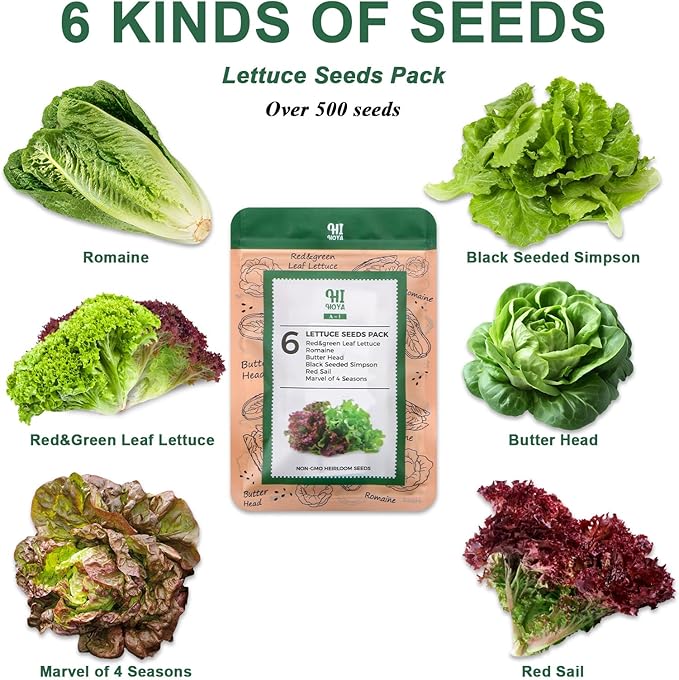 Lettuce Seed Pod Kit, Romaine, Butter Head, Red Sail, Red&Green Leaf, Red Sail Lettuce, Grow Anything Seed Pod Kit Compatible with All Indoor Hydroponics (8-Pod)