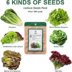 Lettuce Seed Pod Kit, Romaine, Butter Head, Red Sail, Red&Green Leaf, Red Sail Lettuce, Grow Anything Seed Pod Kit Compatible with All Indoor Hydroponics (8-Pod)