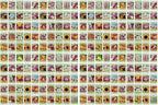 Set of 200 Flower Seed Packets - Flower Seeds in Bulk - 15 or More Varieties Available - Great for Creating Colorful Gardens (200)