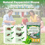 Pest Rodent Repellent, 24 Pack Peppermint Oil Mouse Traps Balls for Rat Mice, Ant, Roach, Spider, Squirrel, Insect Control Mouse Deterrent for Indoor Outdoor Use, for Garden & Home, Family & Pet Safe