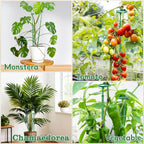 Extendable Plant Stakes,Adjustable Length from 14.3IN to 25IN Monstera Support Stakes with Clips,Sturdy Plant Stakes for Indoor Outdoor,Garden Sticks for Orchid,Tomato,Climbing Plants- 7Pack