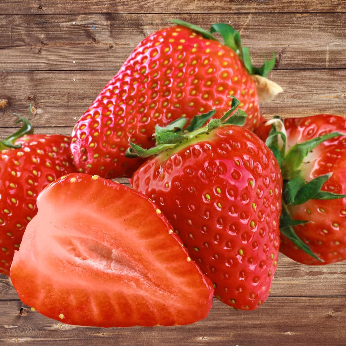 Seascape Strawberry Plants - Great for Planters - Day Neutral (Heavy Producer) - Bare Root Strawberry Plants from Hand Picked Nursery (10)