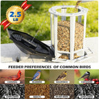 Birdream 2 Pack Solar Bird Feeders for Outdoors Hanging, Assembly Required, 1-Min Easy Setup, Wild Seed Feeders for Cardinals Chickadees and Finches