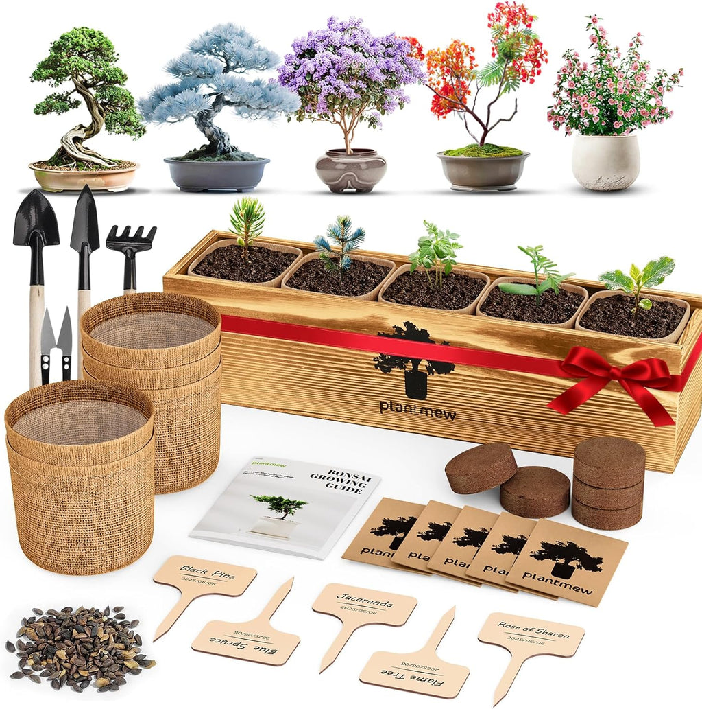 5 Pack Bonsai Tree Kit - Unique Gardening Gift Set for Plant Lovers | Complete Japanese Bonsai Starter Kit with Seeds, Tools & Planters | Ideal Christmas, Birthday Gifts for Women & Men