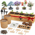 5 Pack Bonsai Tree Kit - Unique Gardening Gift Set for Plant Lovers | Complete Japanese Bonsai Starter Kit with Seeds, Tools & Planters | Ideal Christmas, Birthday Gifts for Women & Men