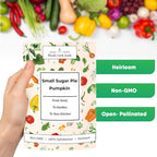Woods Creek Seeds: Small Sugar Pie Pumpkin Seeds for Planting - Over 40 Heirloom Non-GMO Pumpkin Seeds to Plant - Ideal Heirloom Seeds to Grow for Pies & Fall Harvest - Pumpkins for Outdoor Gardens