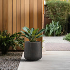 Kante 11.6" Dia Round Concrete Planter, Outdoor Indoor Large Plant Pots Containers with Drainage Hole and Rubber Plug for Home Garden Patio, Oil Rubbed Bronze