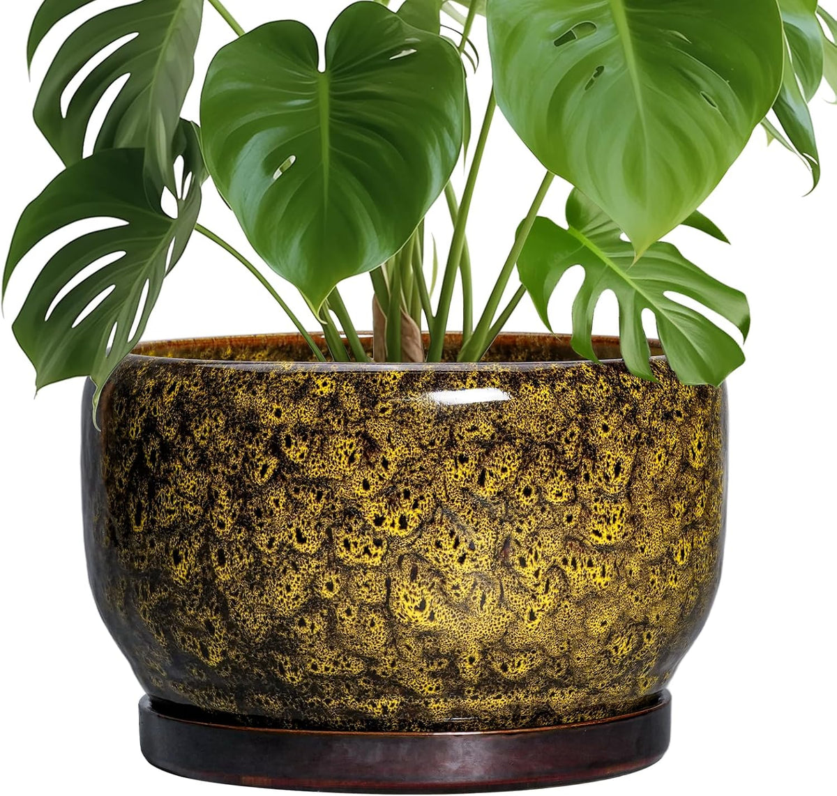 SQOWL 10 Inch Plant Pot - Ceramic Flower Pots with Drainage Hole and Saucer, Ceramic Planter for Indoor Plants Outdoor, Decorative Round Large Planter, House Decor, Gifts for Women Men, Yellow
