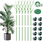 6 Pack 39.37" Detachable Twig Plant Support Stakes Set, Blends in to Plant, Branch Plant Sticks with Orchid Clips Twist Plant Ties, Twig Trellis for Indoor Outdoor Plants Potted Plants Flower