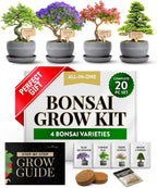 HOME GROWN Bonsai Tree Kit – Grow 4 Bonsai Types Indoors with Complete Starter Kit Including Pots Peat Pellets and Bonus Grow Guide – Unique Gardening Gift for Men Women Beginners