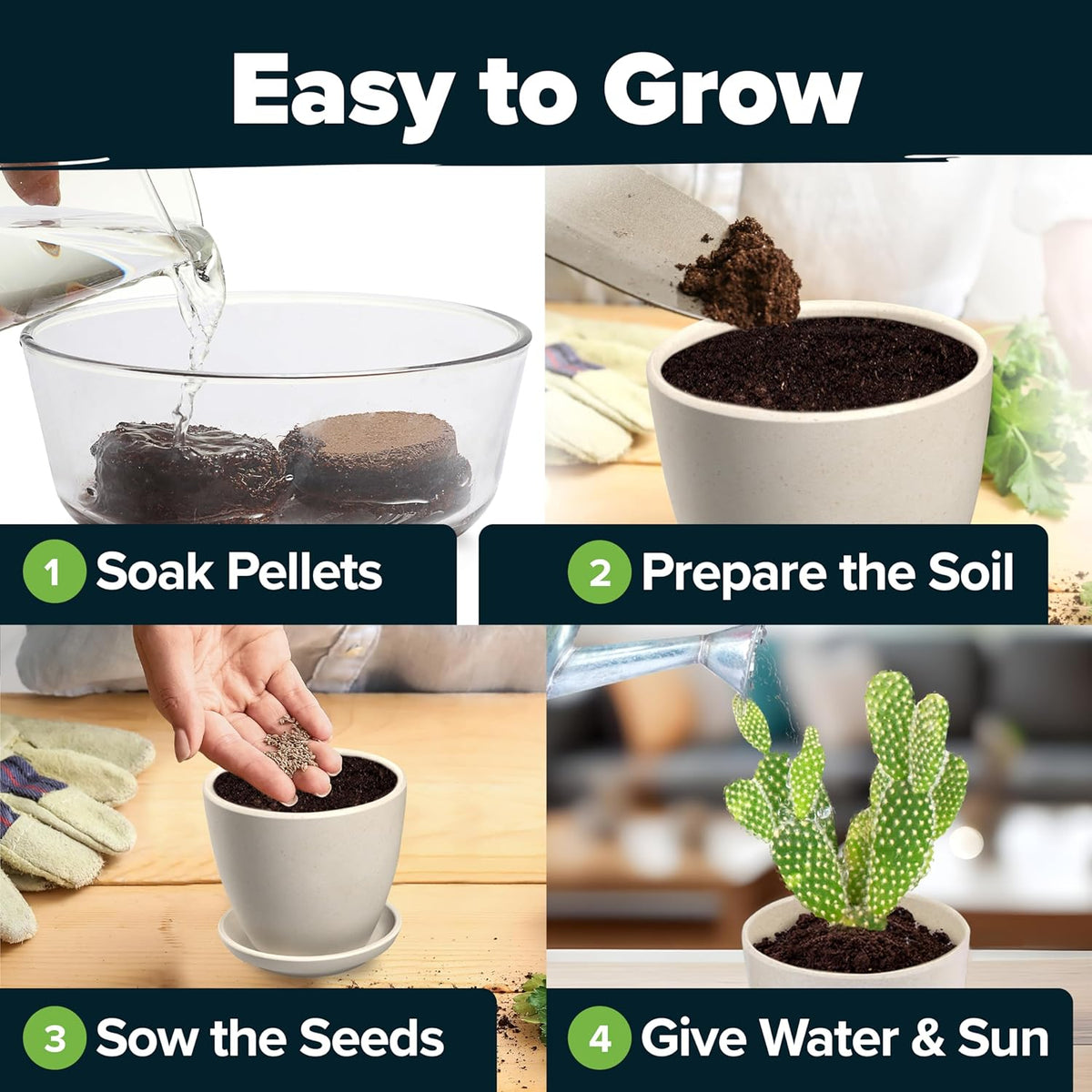 HOME GROWN Succulent & Cactus Seed Kit for Planting – [Enthusiasts Favorites] Premium Cactus & Succulent Starter Kit: 4 Planters, Drip Trays, Markers, Seeds Mix, Soil - DIY Gift Kits